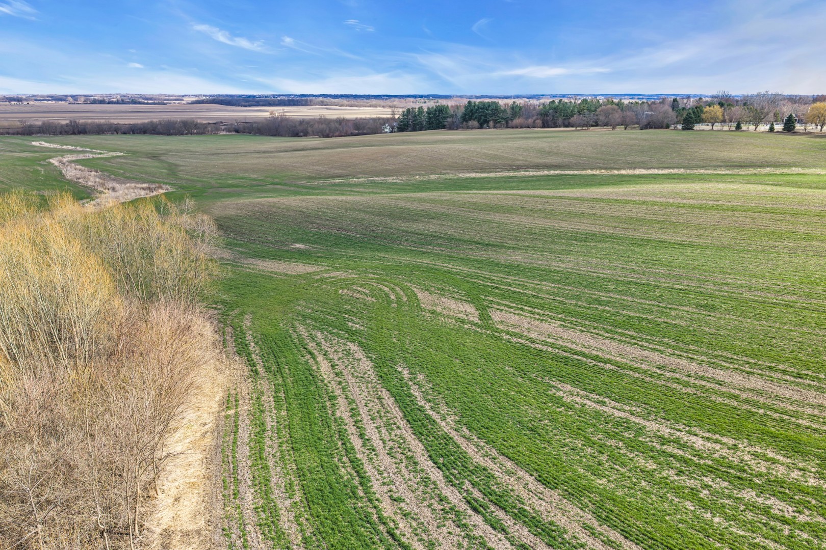 12599742 Property Photo 8