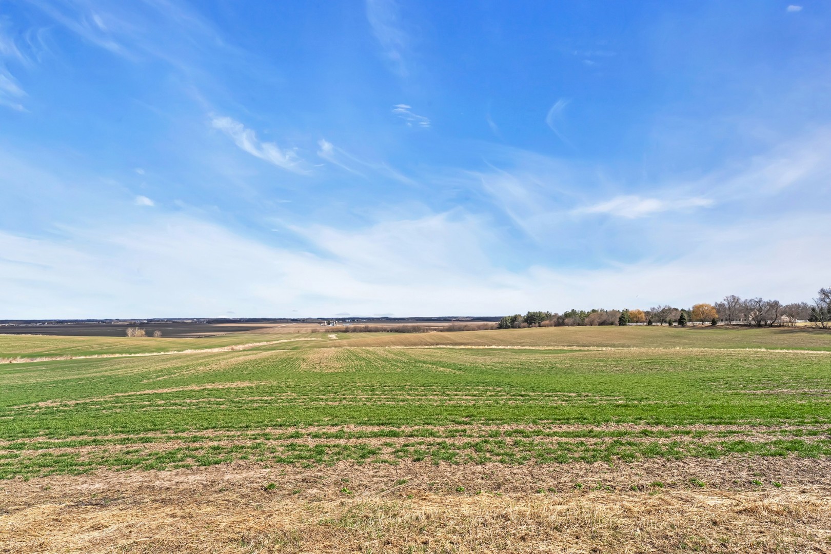 12599742 Property Photo 9