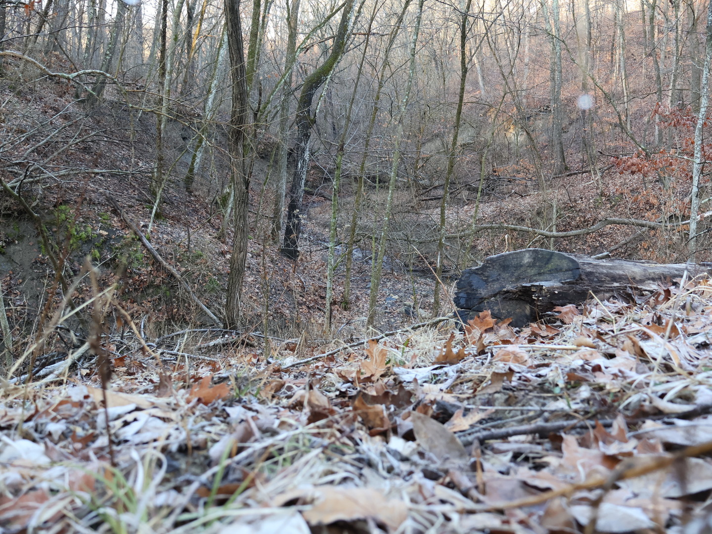 0 N. Pheasant Lane Property Photo 8