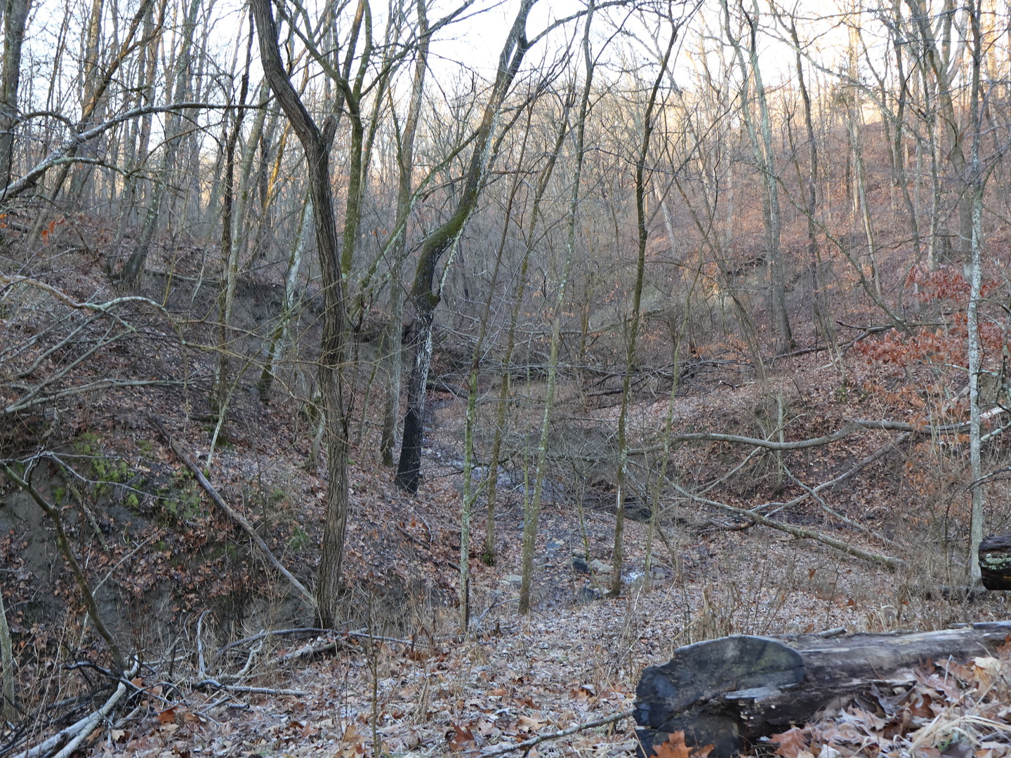 0 N. Pheasant Lane Property Photo 10