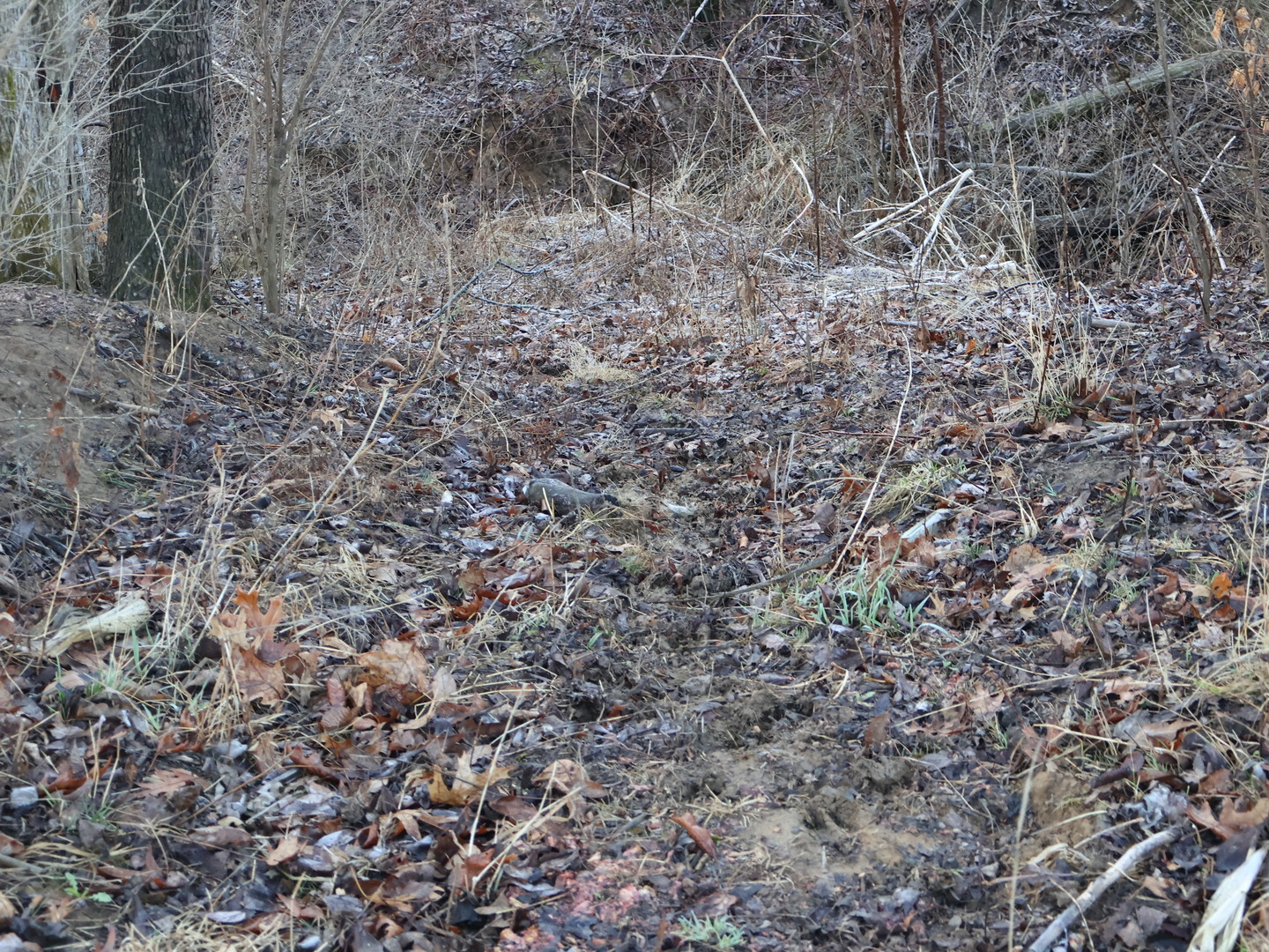 0 N. Pheasant Lane Property Photo 45
