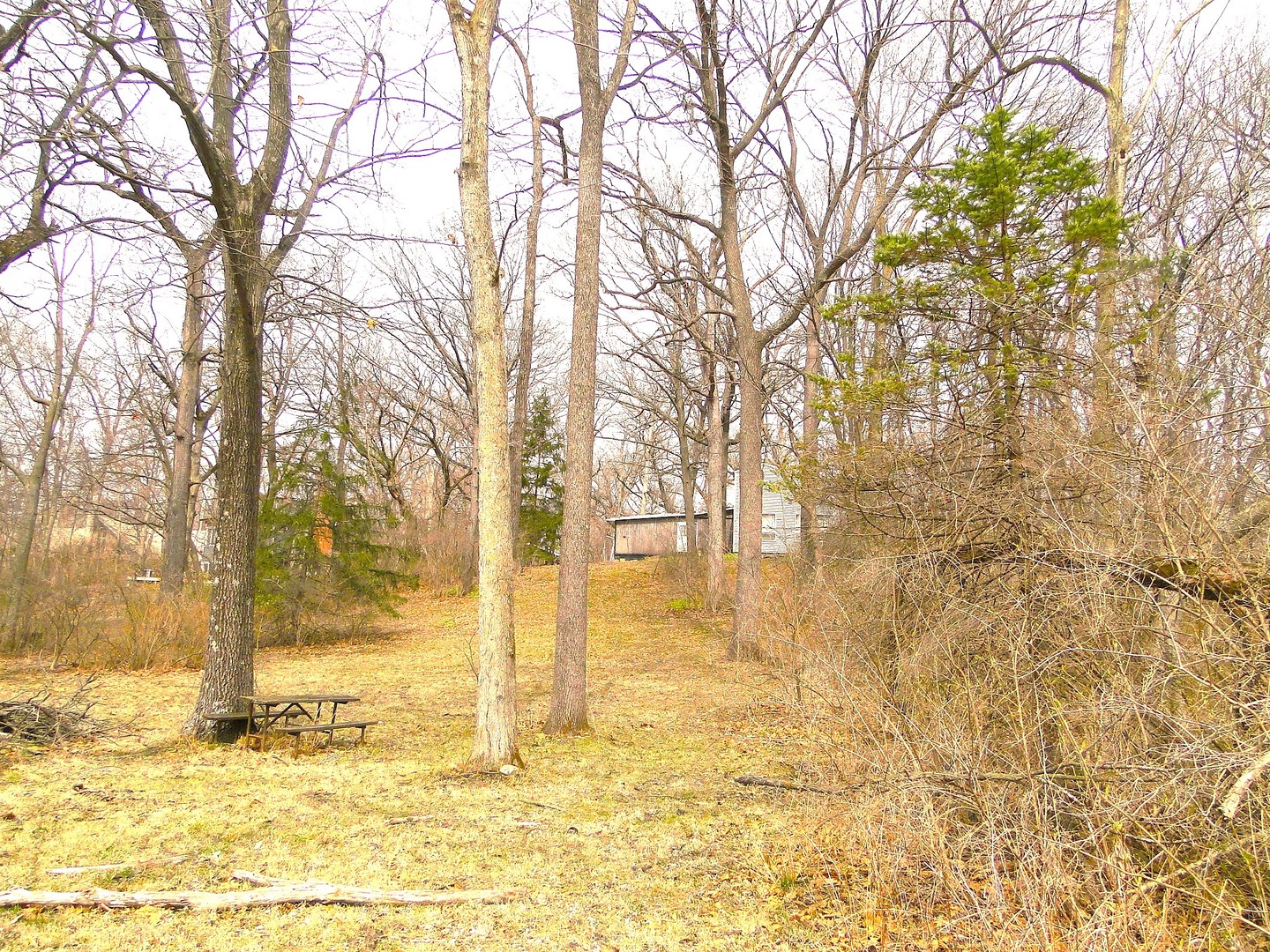 20915 W Walton Road Property Photo 6