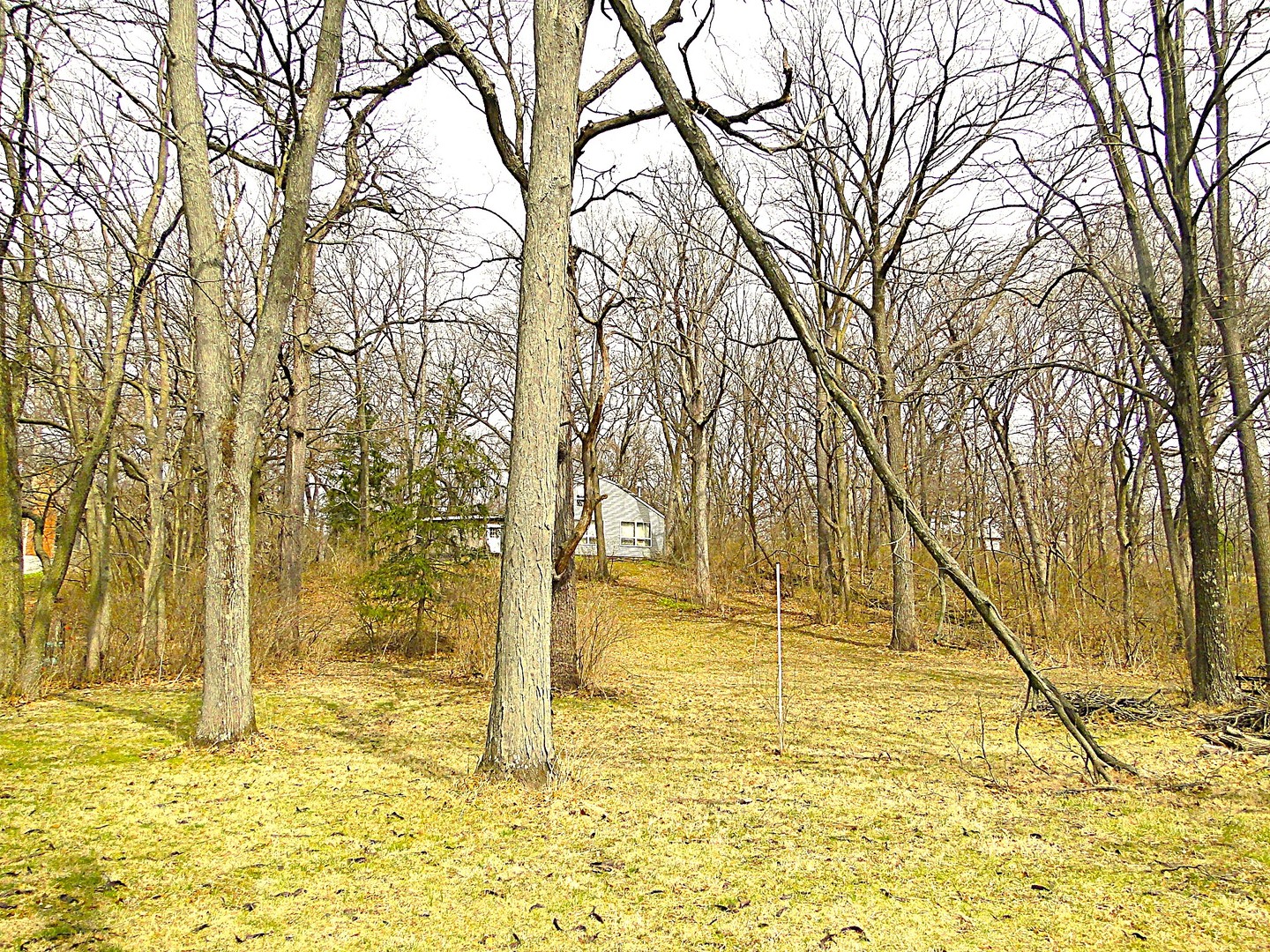 20915 W Walton Road Property Photo 9