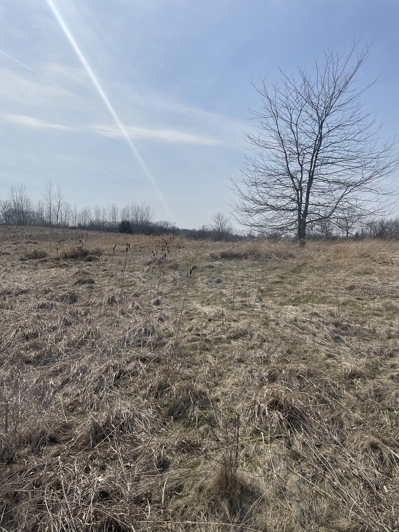 1055 E Grand Avenue Property Photo 2