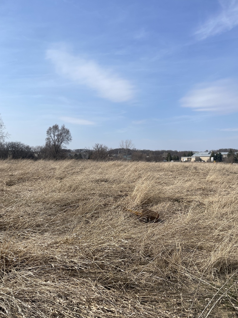 1055 E Grand Avenue Property Photo 3