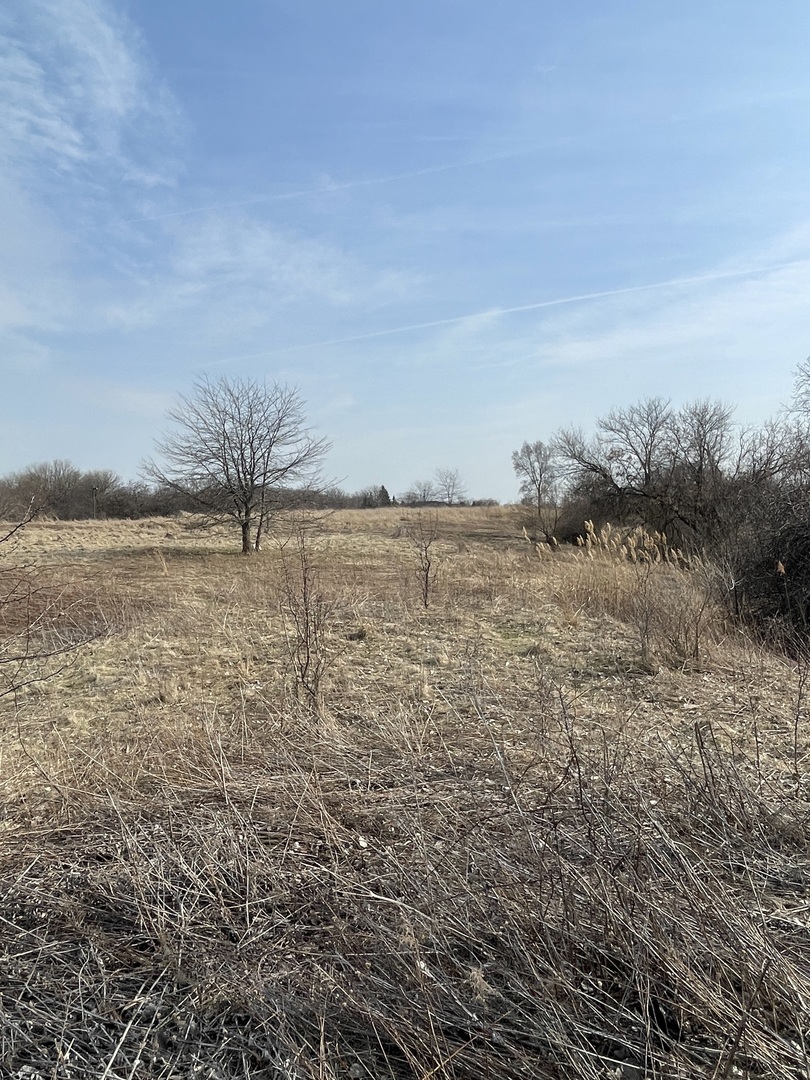 1055 E Grand Avenue Property Photo 6