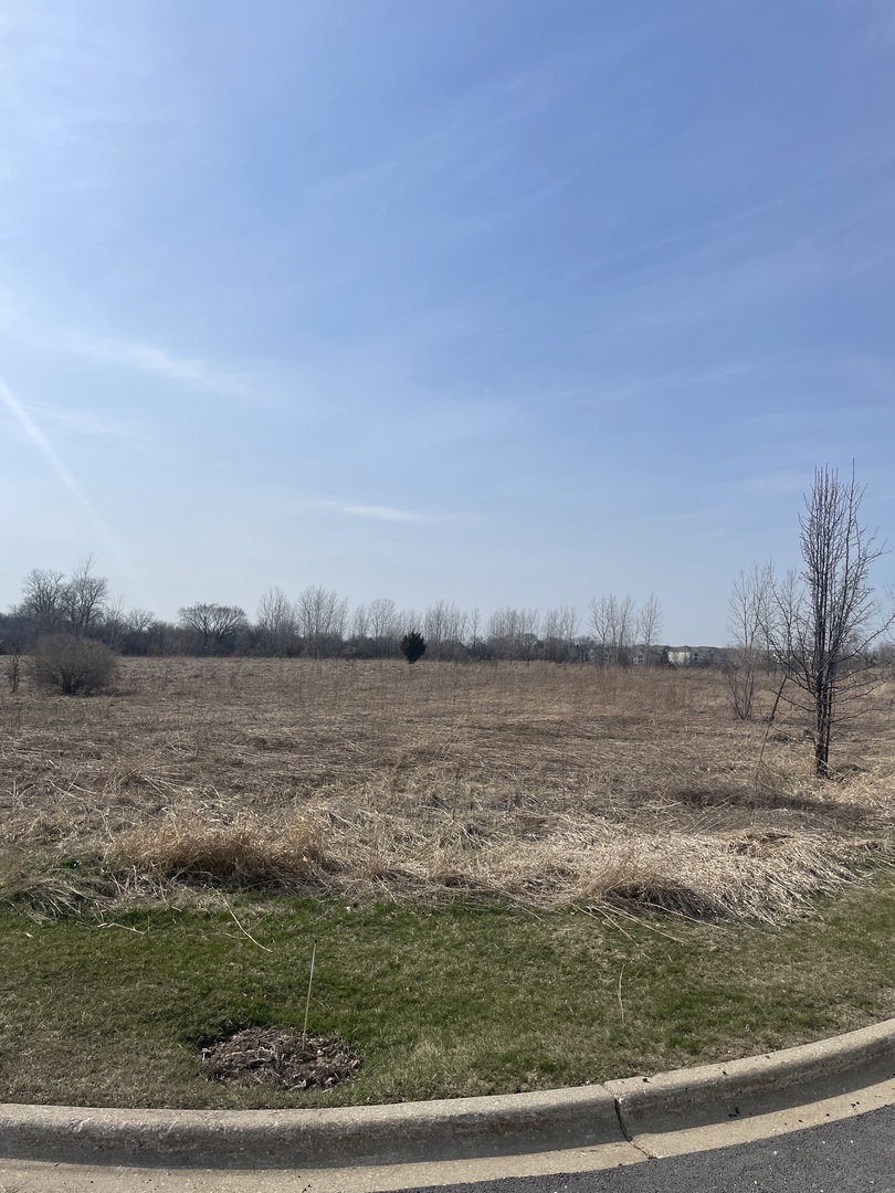 1055 E Grand Avenue Property Photo 9
