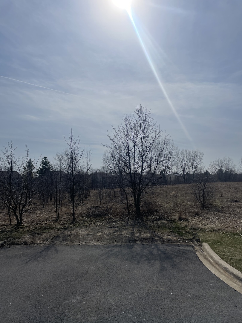 1055 E Grand Avenue Property Photo 10