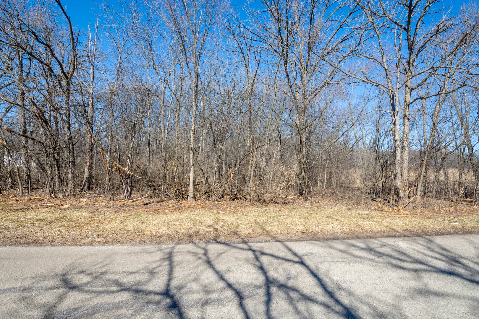 Lots 1 & 2 73rd Street Property Photo 6