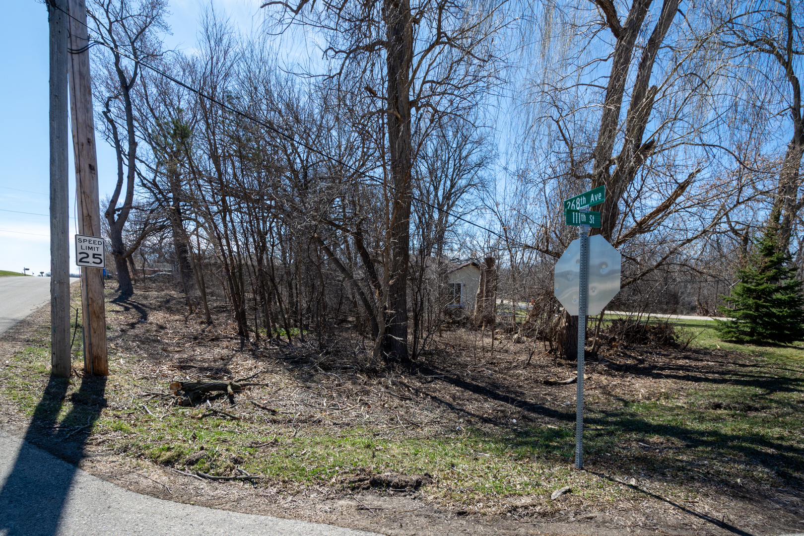 11112 268th Avenue Property Photo 4
