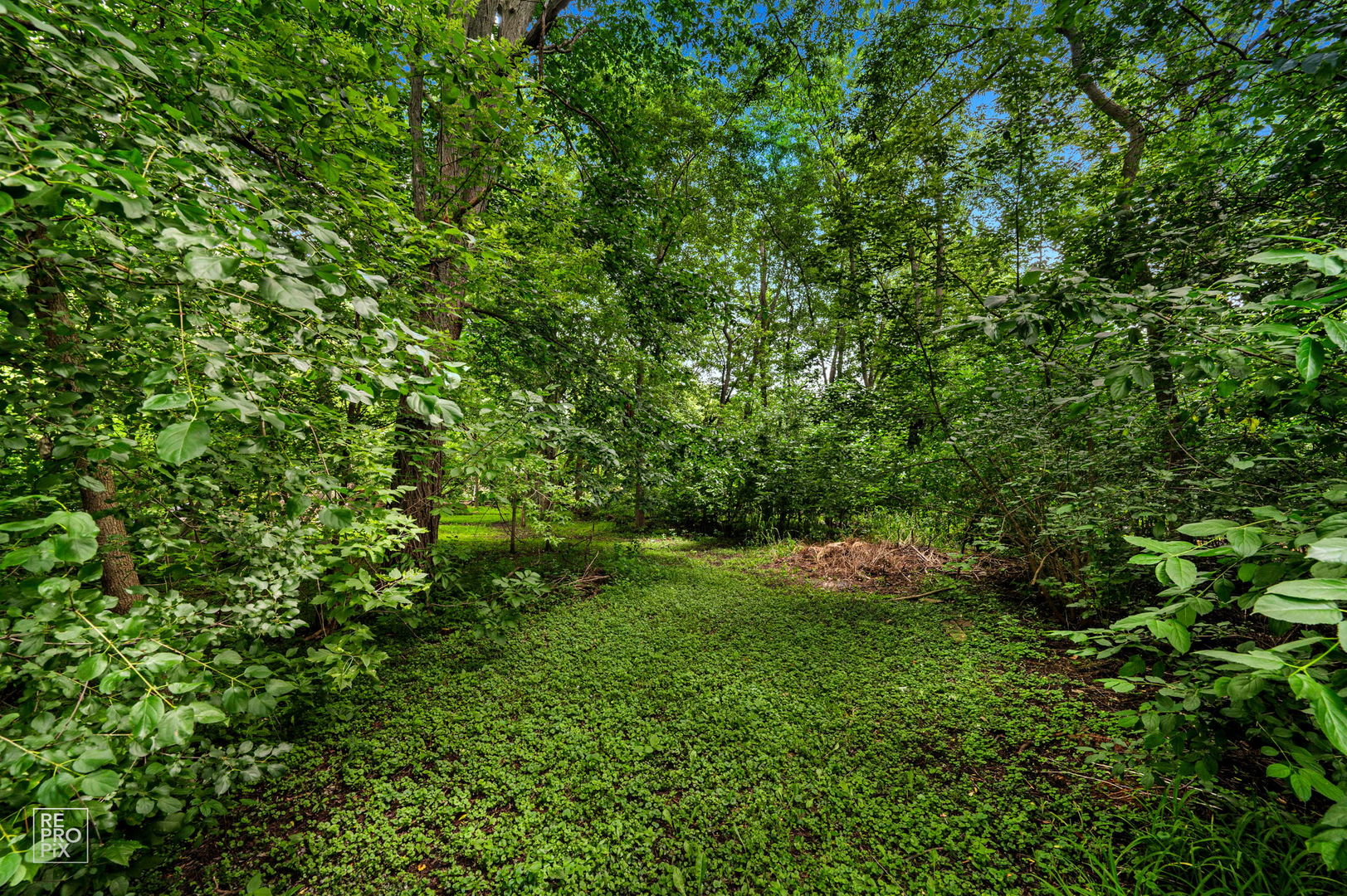 3315 S Riverdale Road Property Photo 56