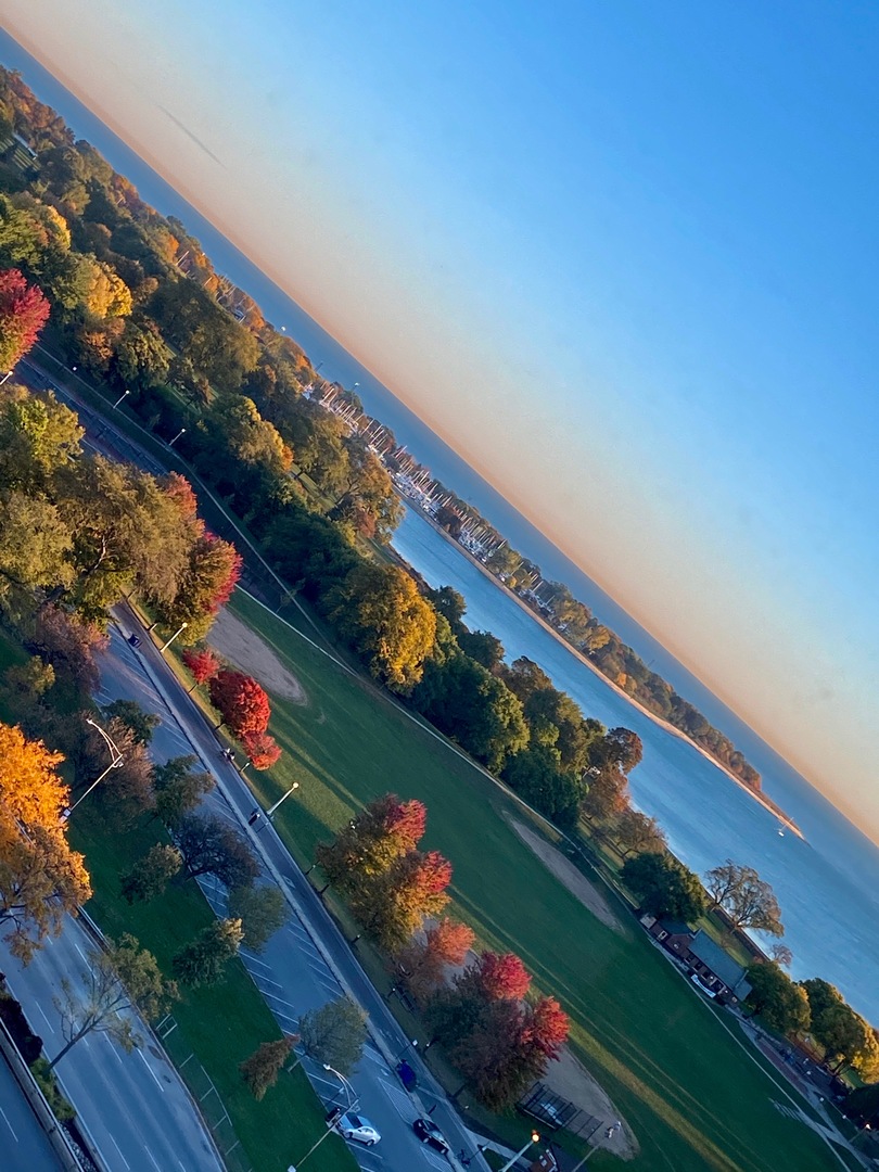 3600 N Lake Shore Drive 1624 Property Photo 13