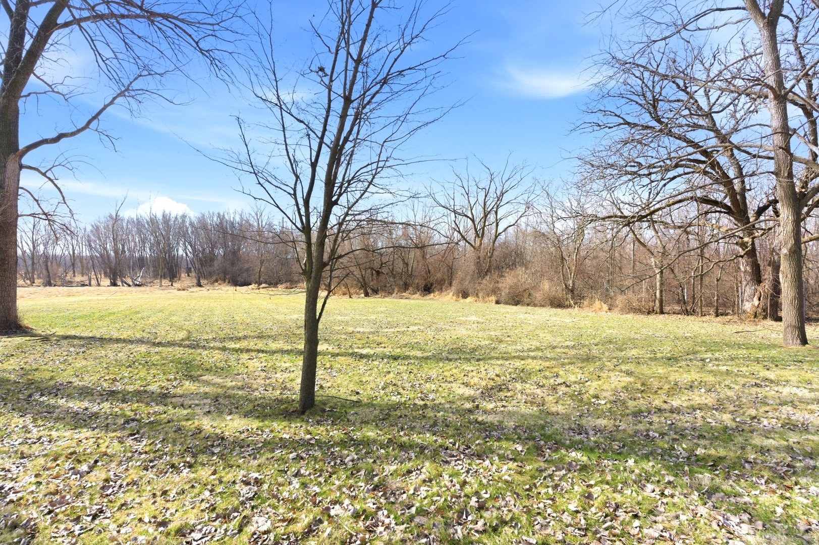 1431 Il Route 75 Property Photo 10