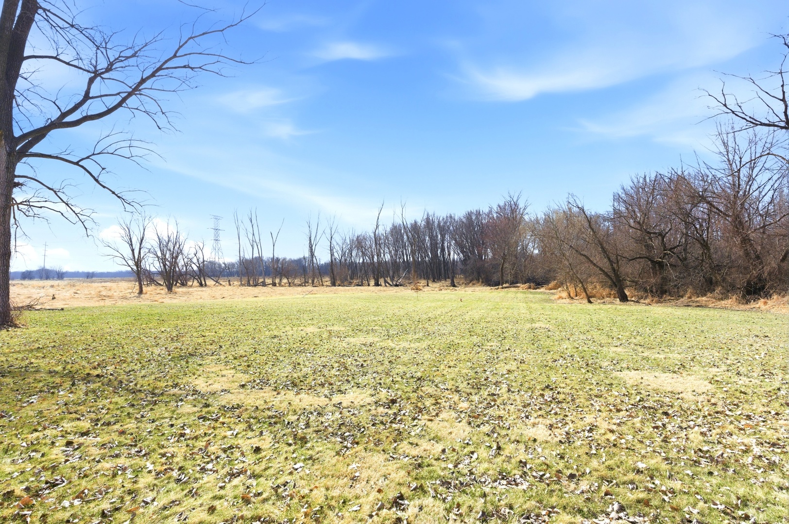 1431 Il Route 75 Property Photo 11