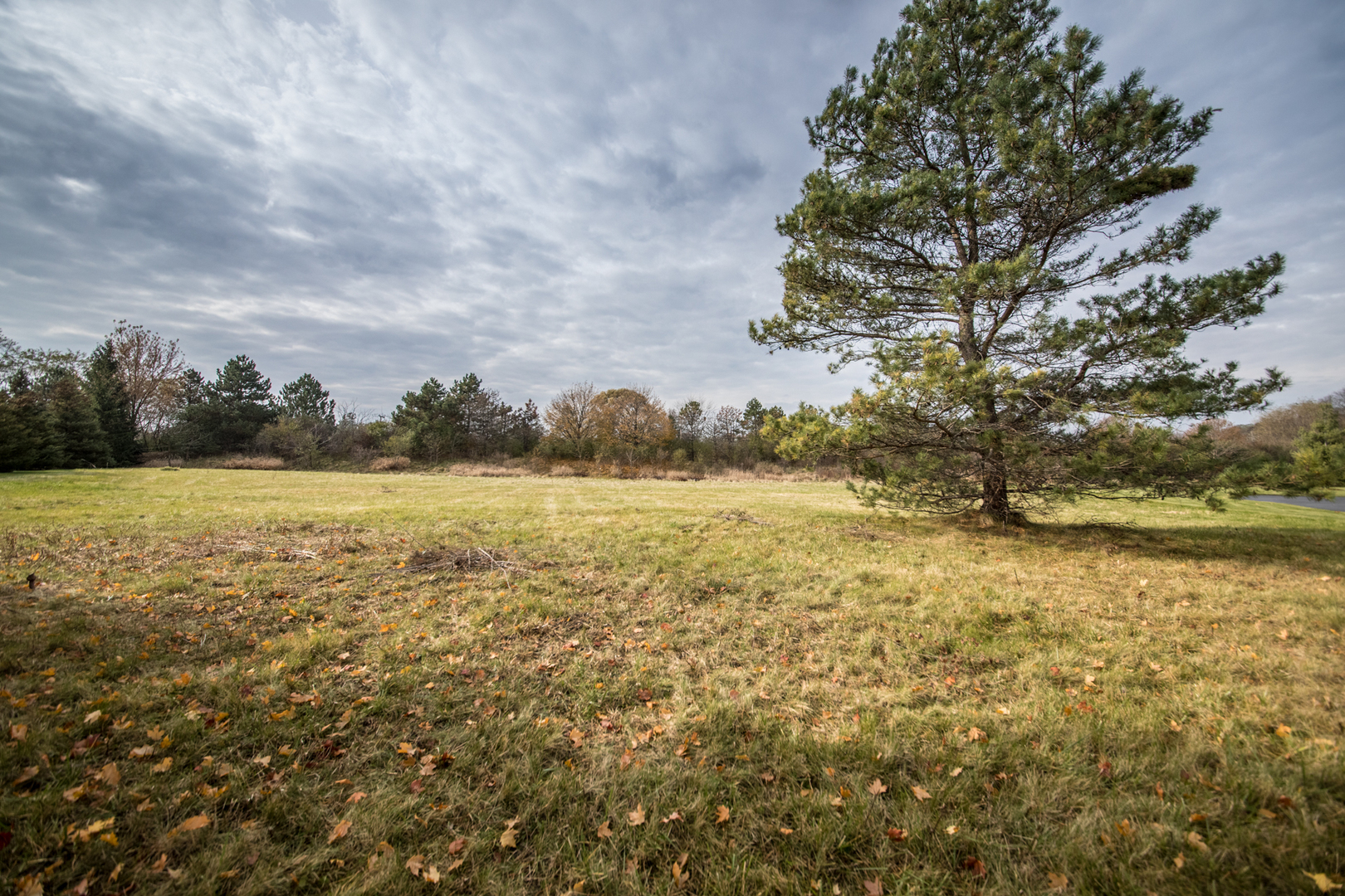 21601 W Hampshire Place Property Photo 13