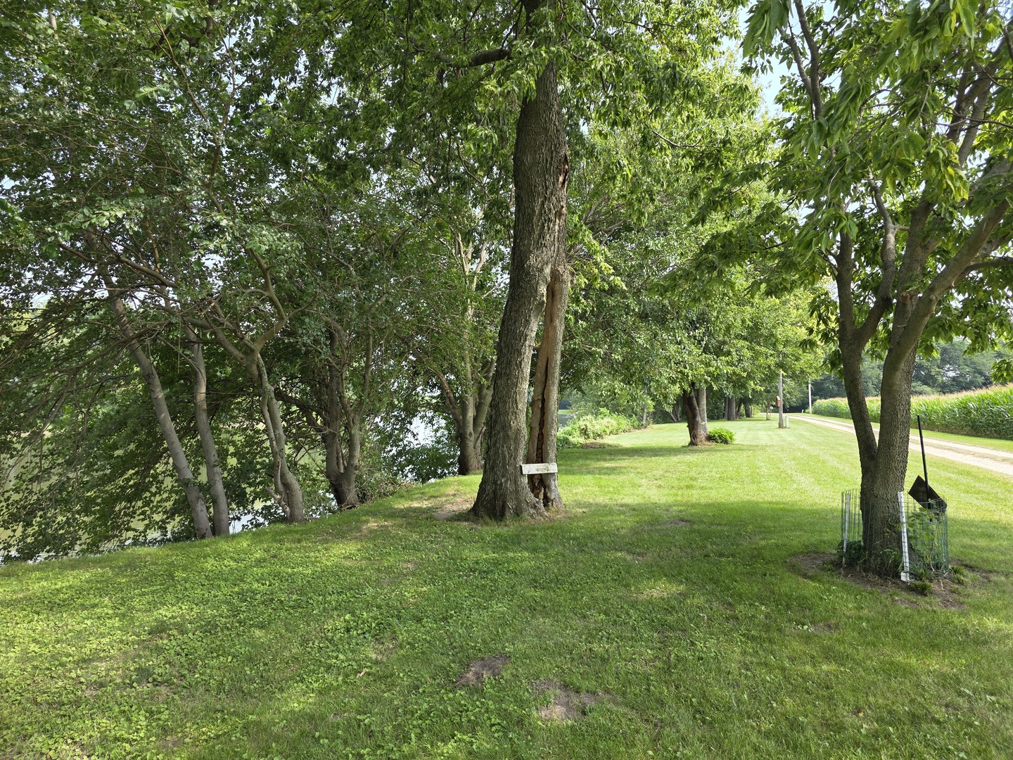 13420 Howard Road Property Photo 14