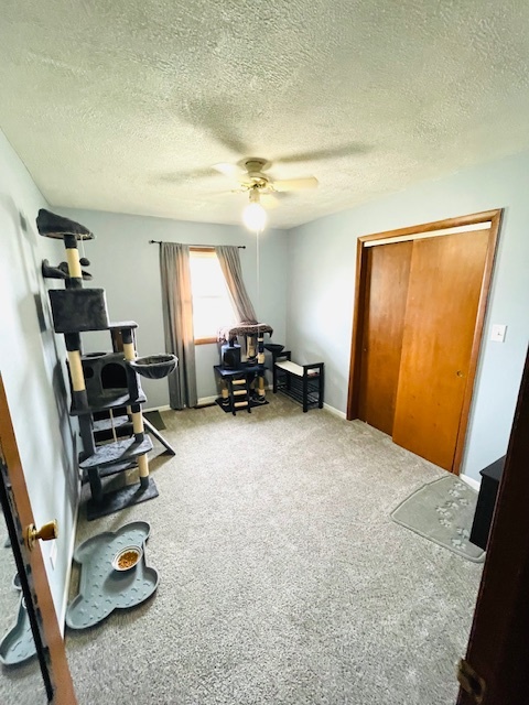 3714 Buck Avenue Property Photo 14