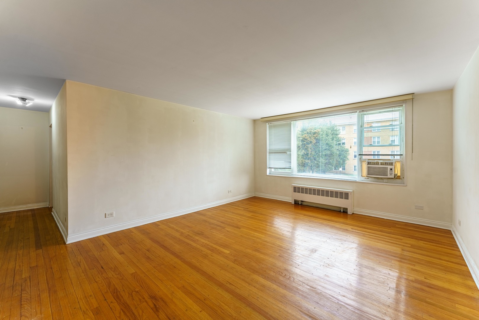 6035 N Damen Avenue 109 Property Photo 4