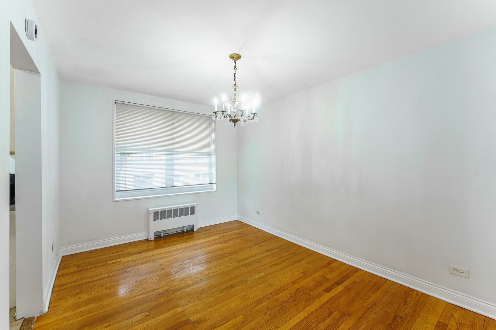 6035 N Damen Avenue 109 Property Photo 19