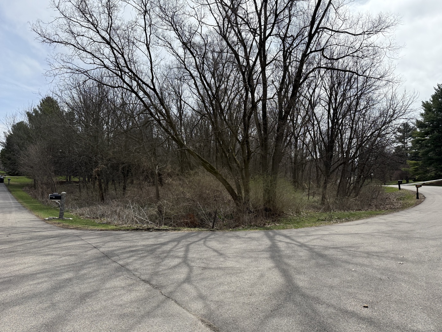 10365 Knights Armor Lane Property Photo 4