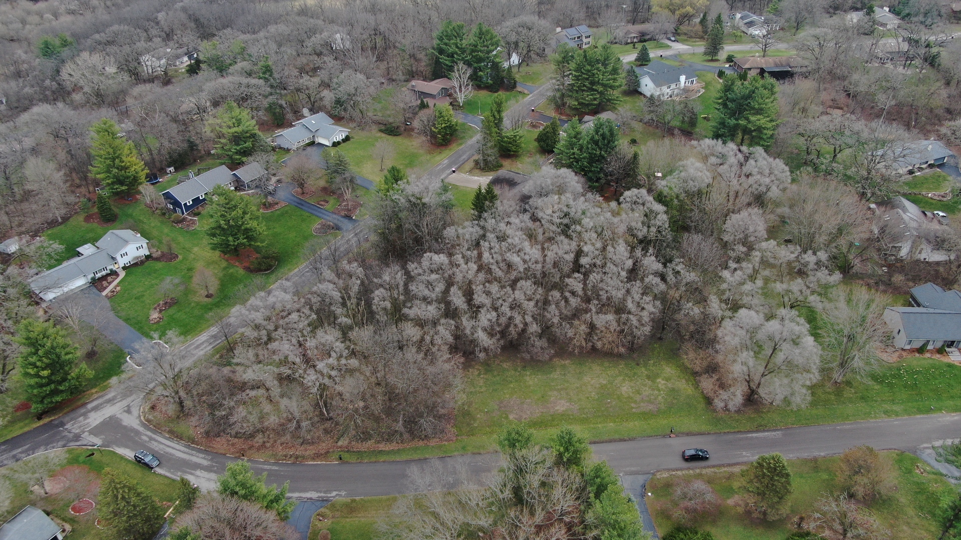 10365 Knights Armor Lane Property Photo 6
