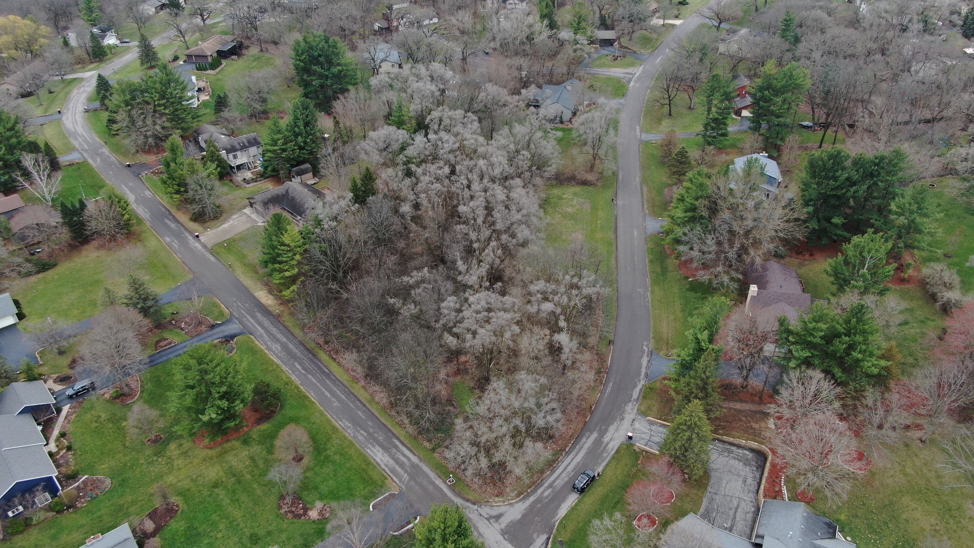 10365 Knights Armor Lane Property Photo 7