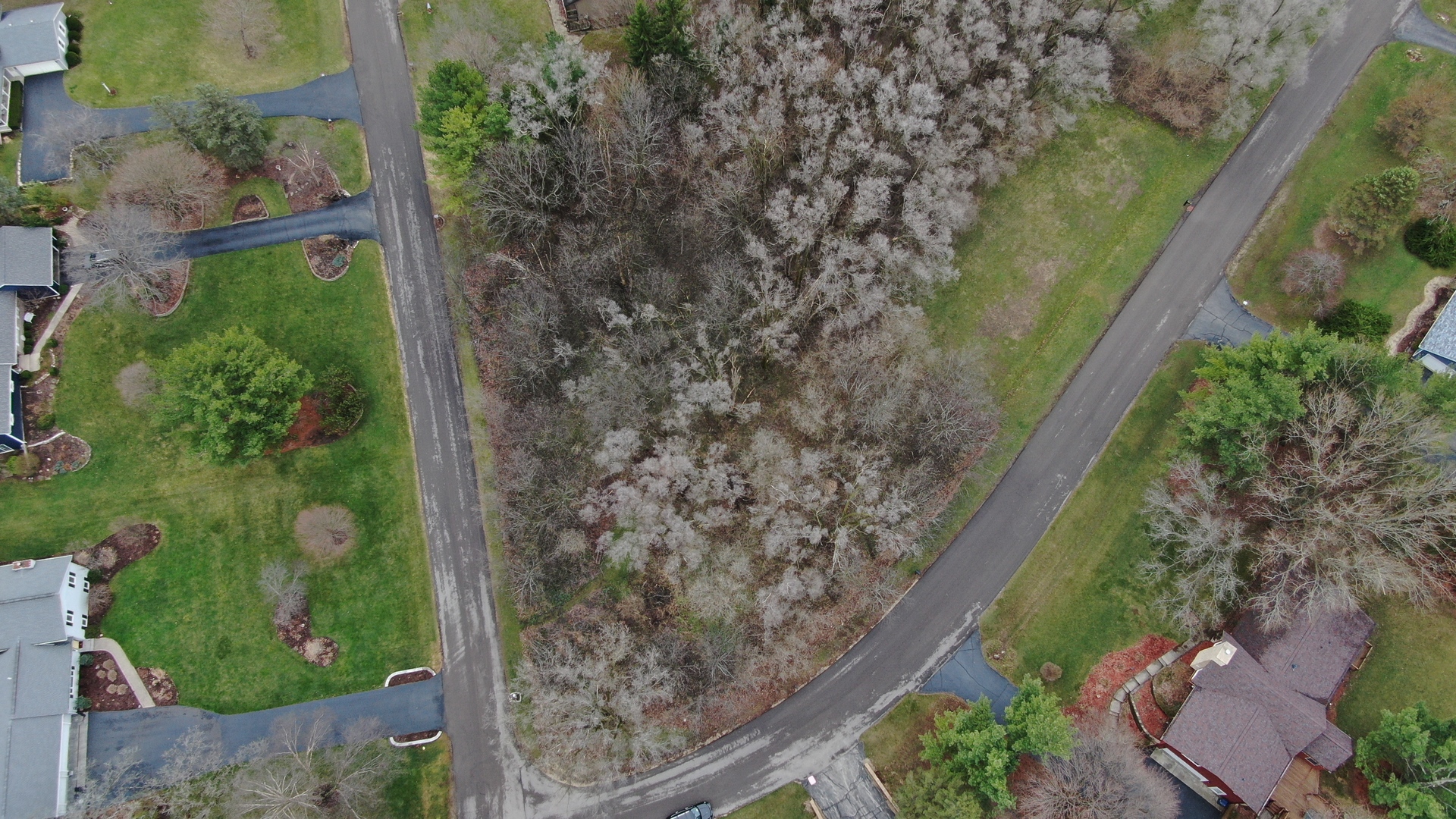 10365 Knights Armor Lane Property Photo 8