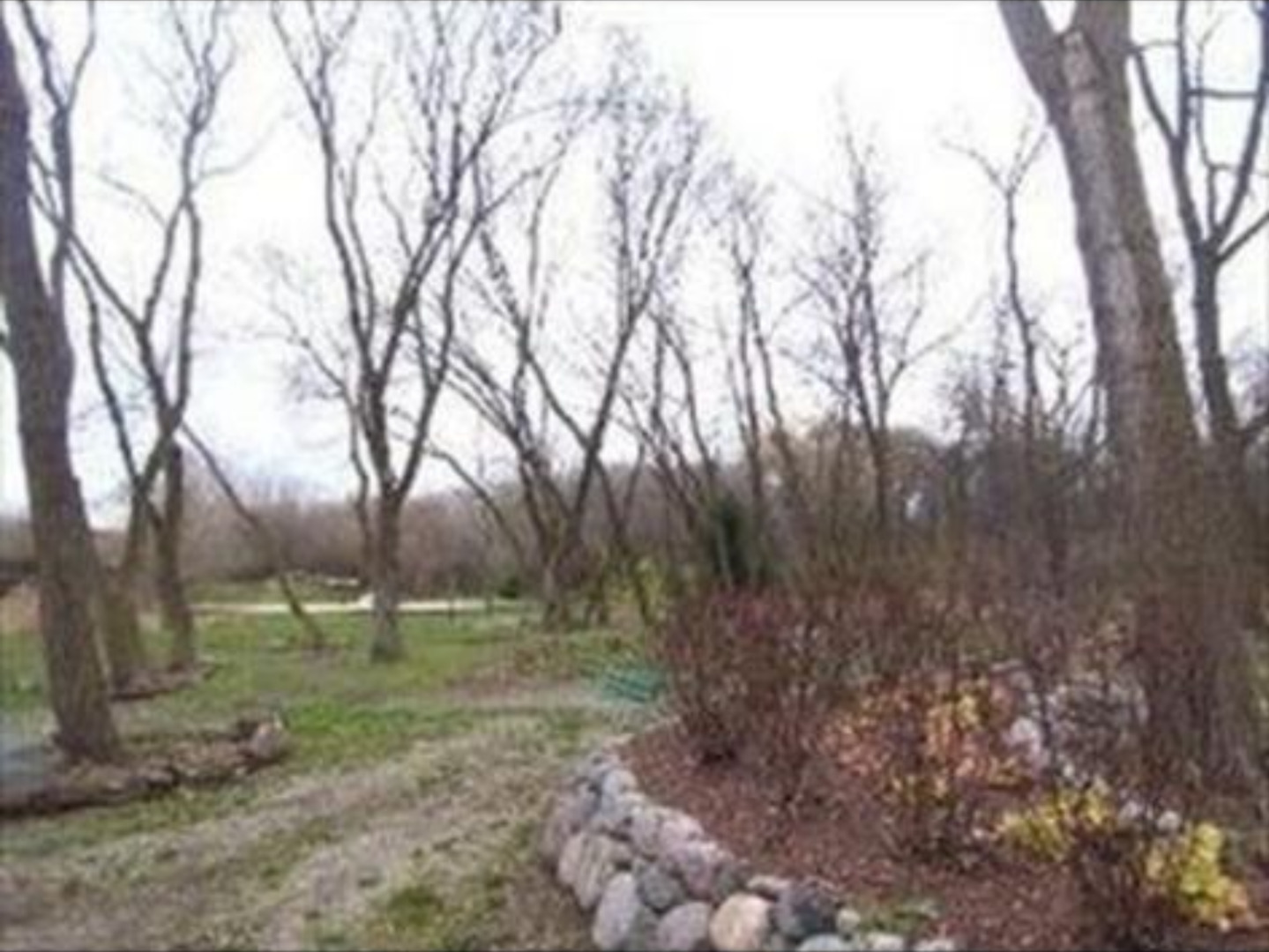 7001 Foxfire Drive Property Photo 5