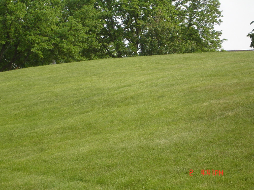 708 N Briar Hill Lane 2 Property Photo 9