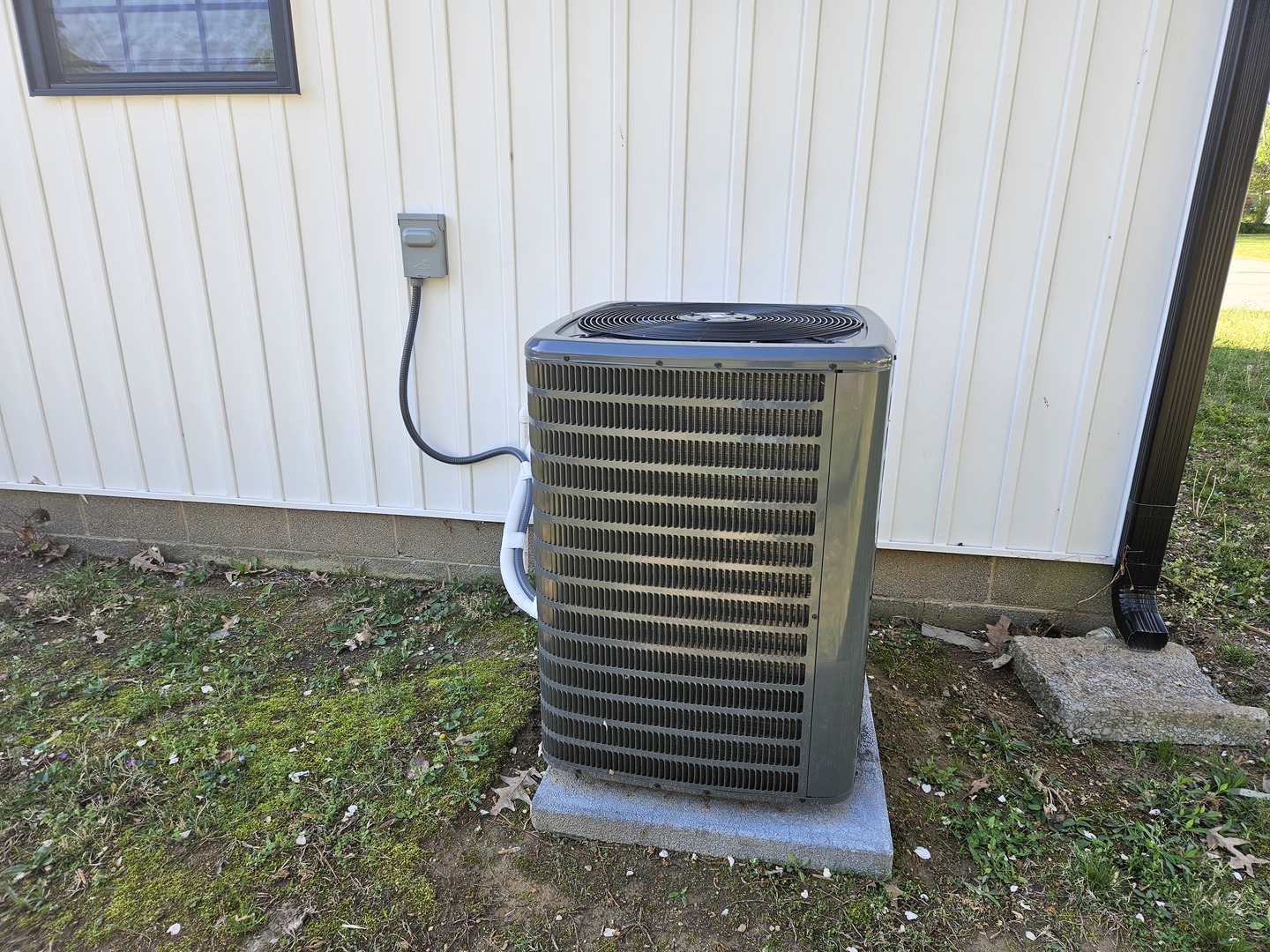 203 Dorris Drive Property Photo 8