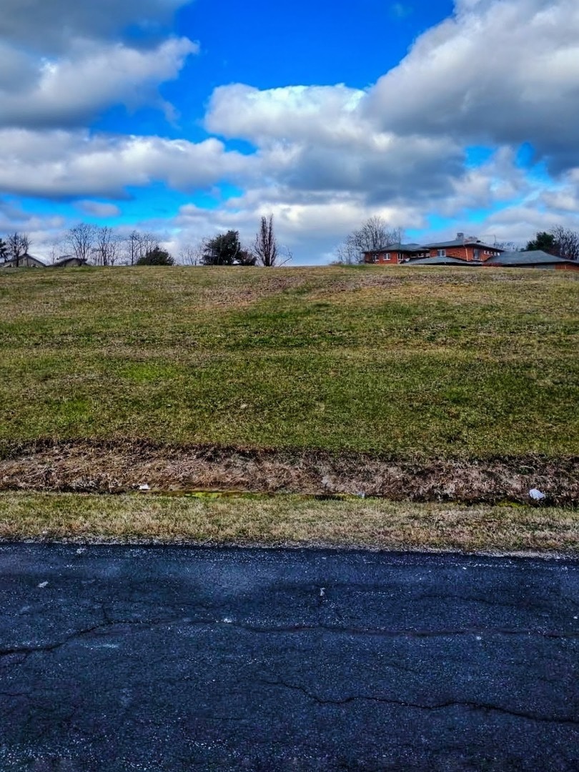 Lot 80 Boyington Lane Property Photo 2