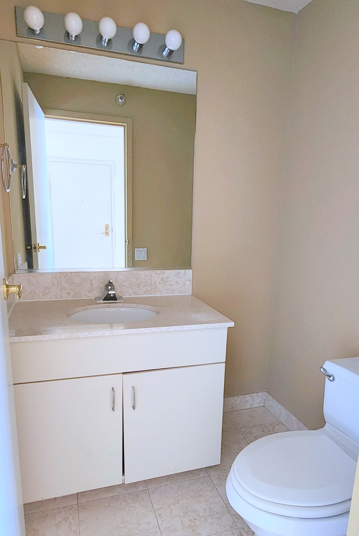 221 E Walton Place 17e Property Photo 12