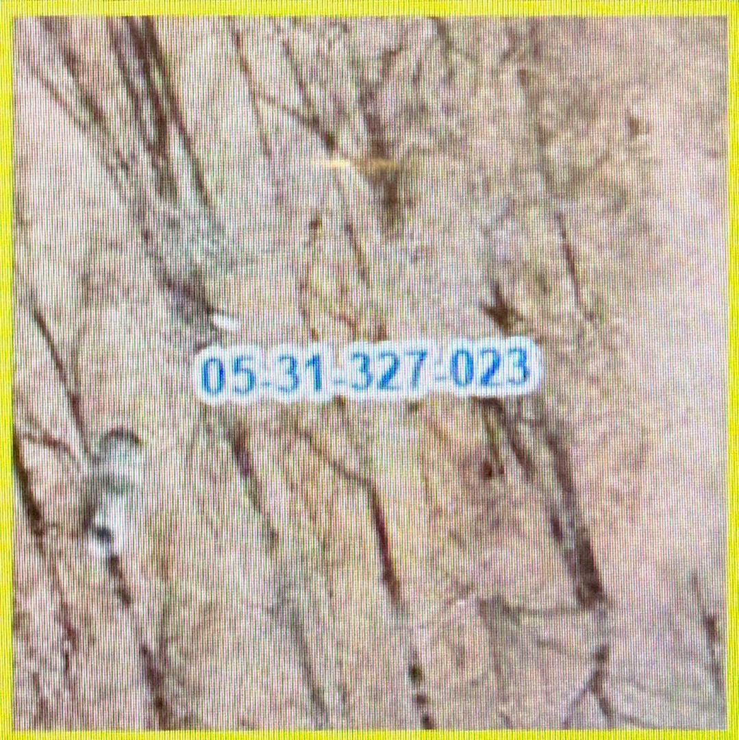 Lot 30 Blue Jay Lane Property Photo 4