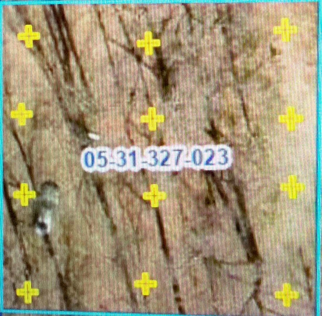 Lot 30 Blue Jay Lane Property Photo 7