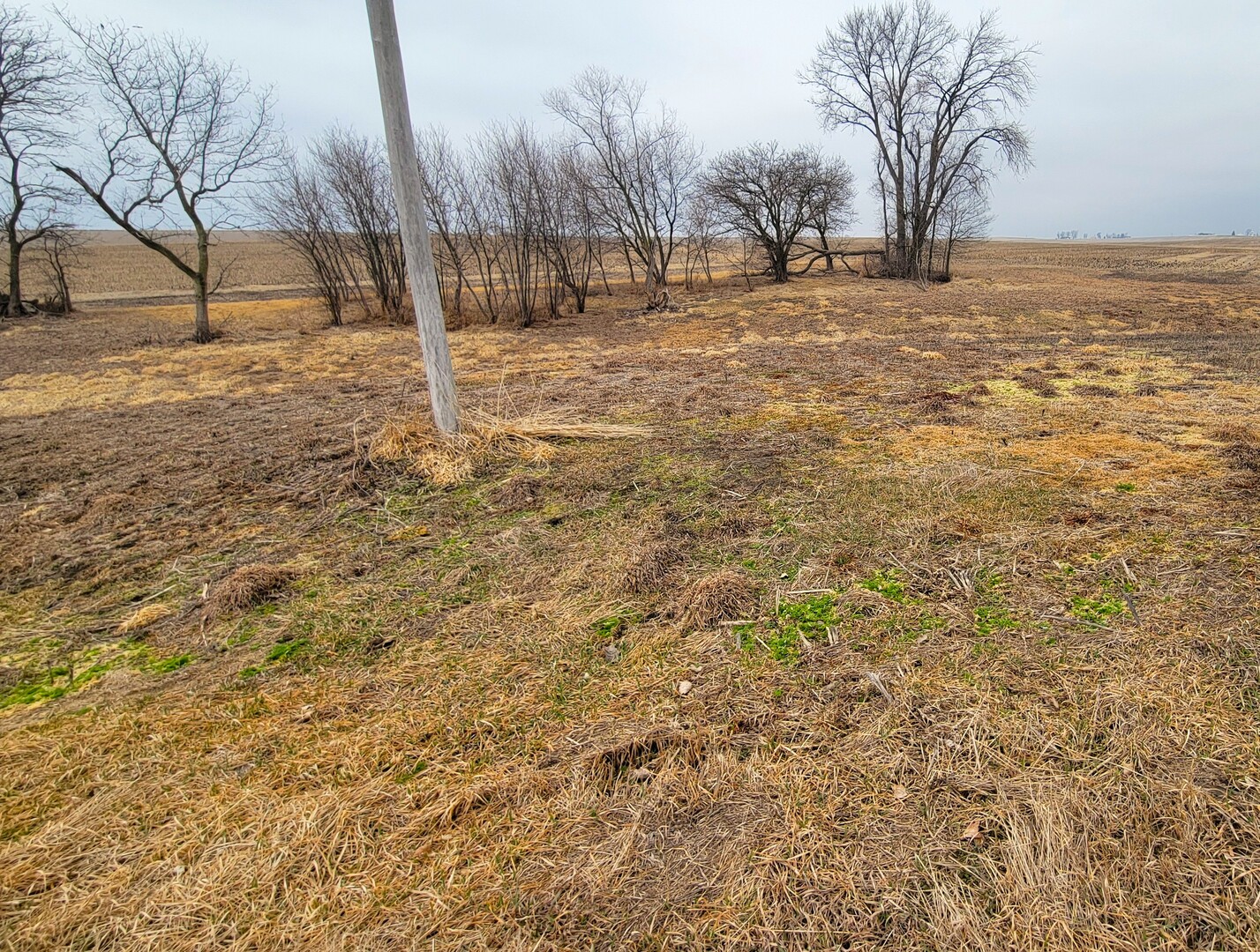 000 2401st Road Property Photo 4