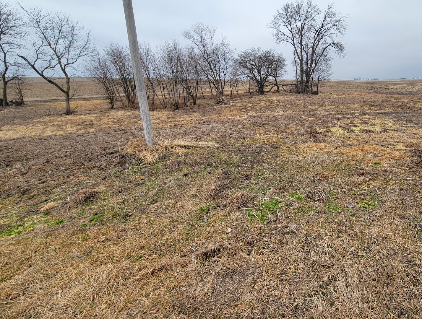 000 2401st Road Property Photo 5