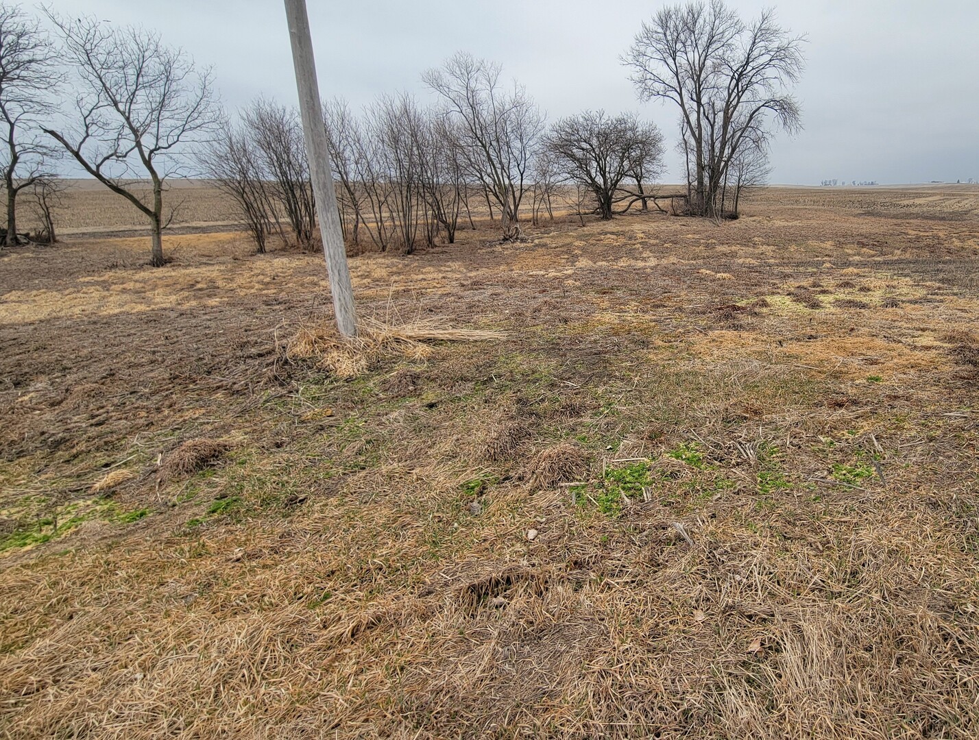 000 2401st Road Property Photo 6