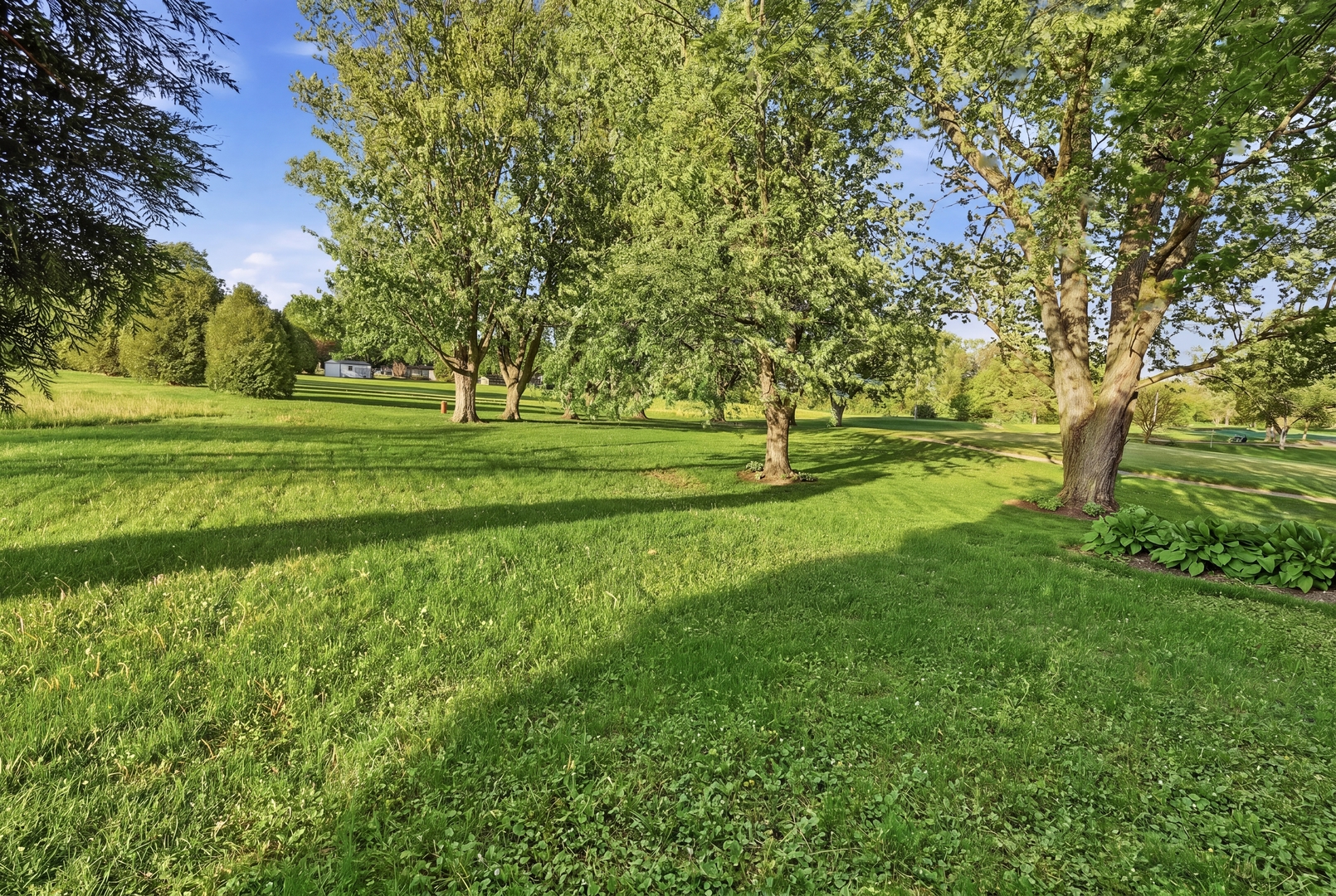 113 Andresen Court Property Photo 43