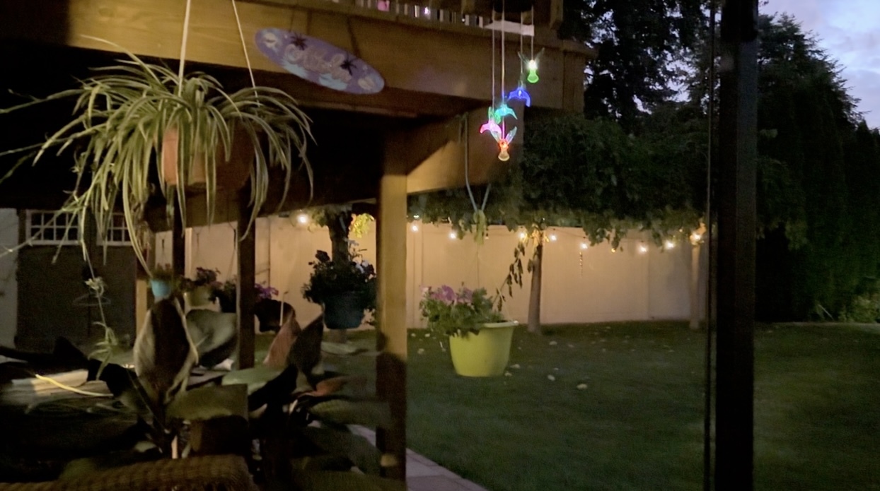 856 Quail Drive Property Photo 30