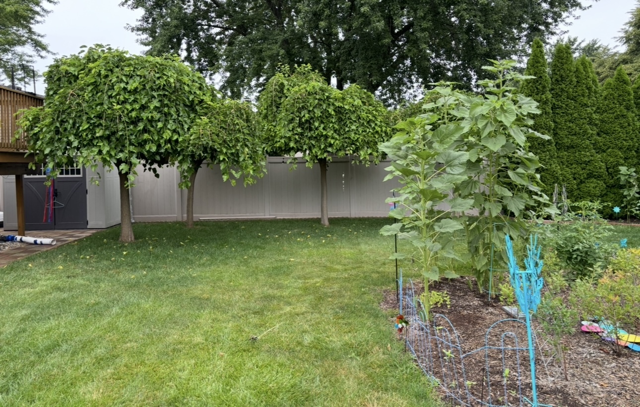856 Quail Drive Property Photo 36