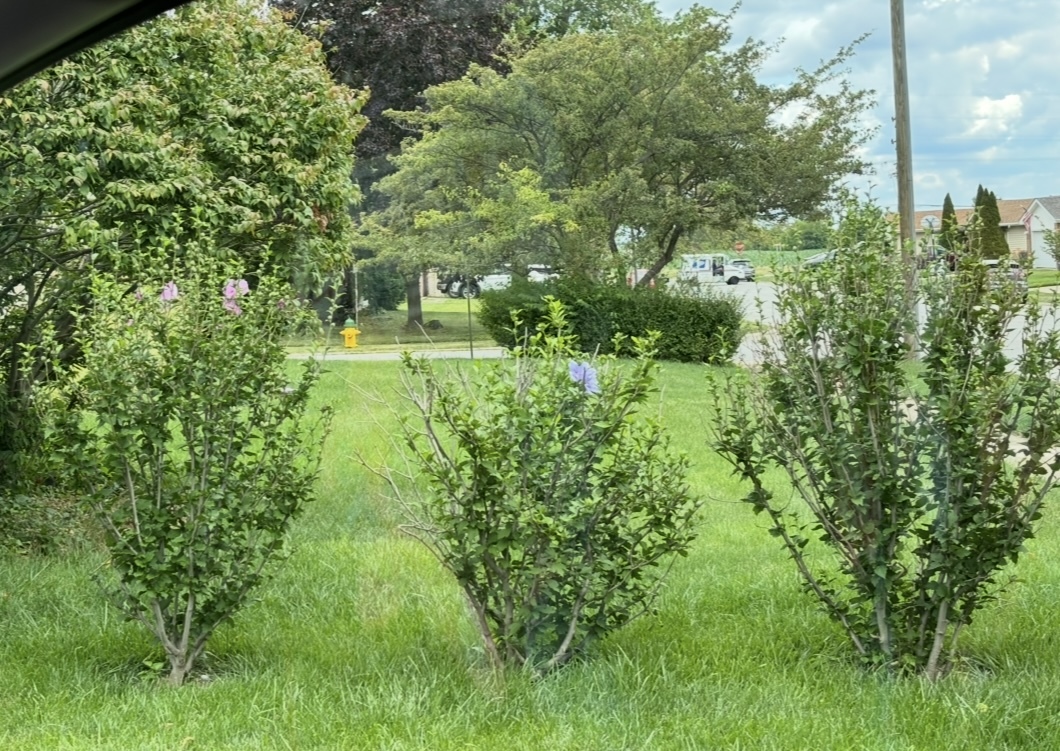 856 Quail Drive Property Photo 40