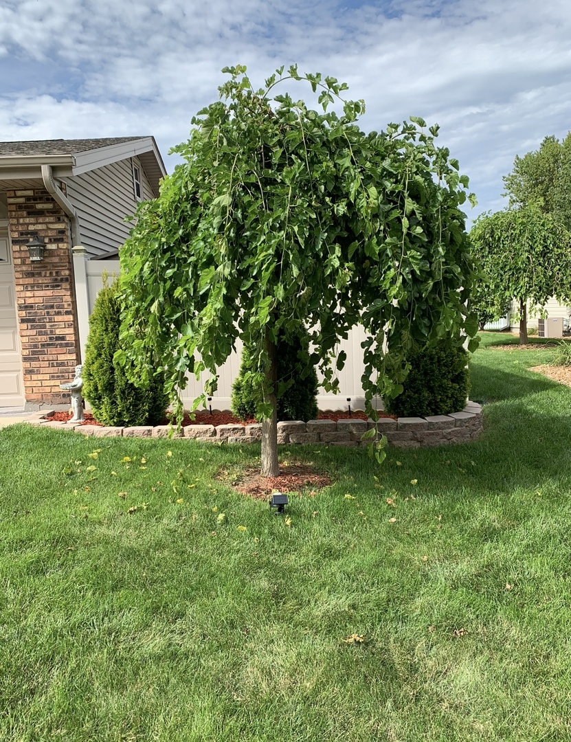856 Quail Drive Property Photo 43