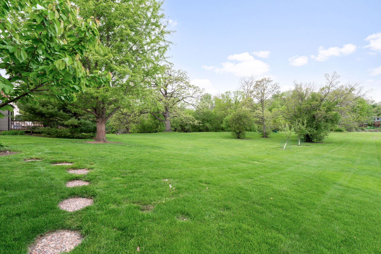 910 Red Fox Lane Property Photo 38