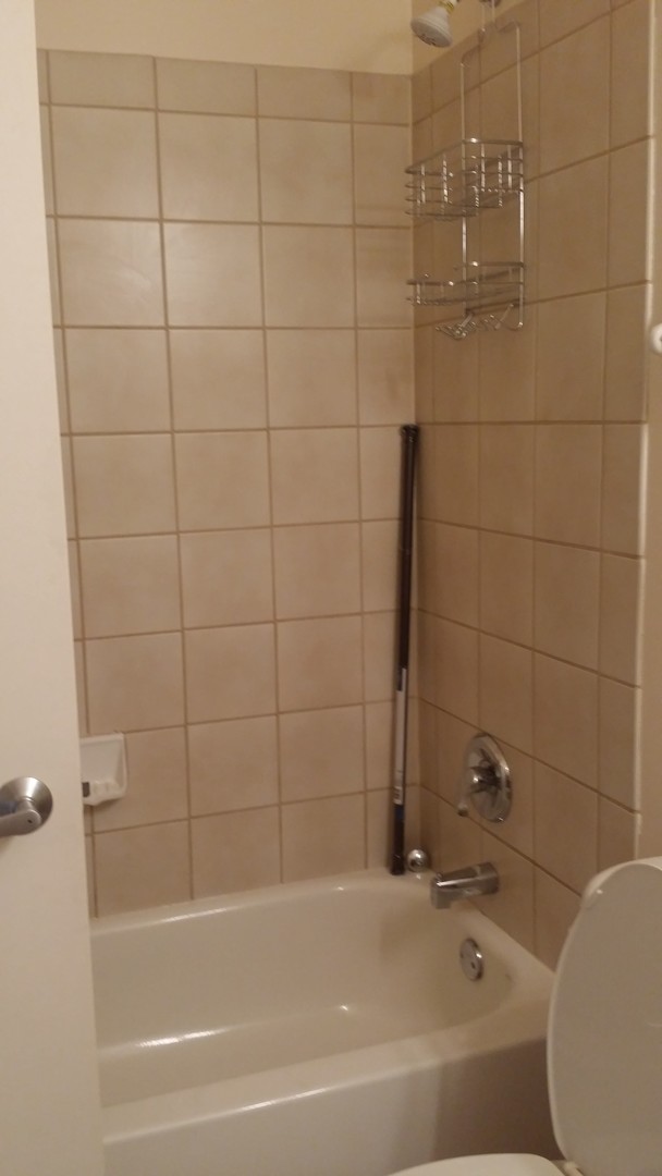 600 N Dearborn Street 810 Property Photo 10
