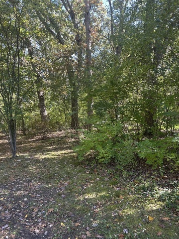 26220 N Midlothian Road Property Photo 2
