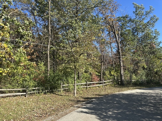 26220 N Midlothian Road Property Photo 14