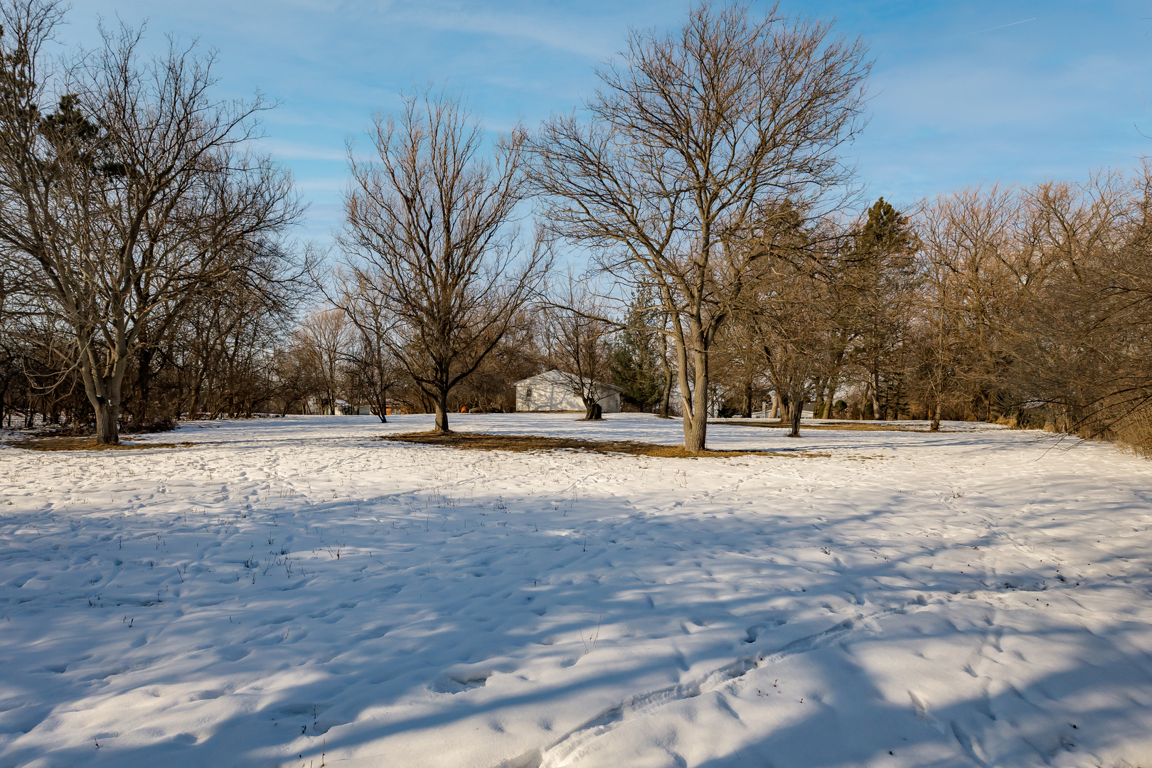 2963 87th Street Property Photo 7