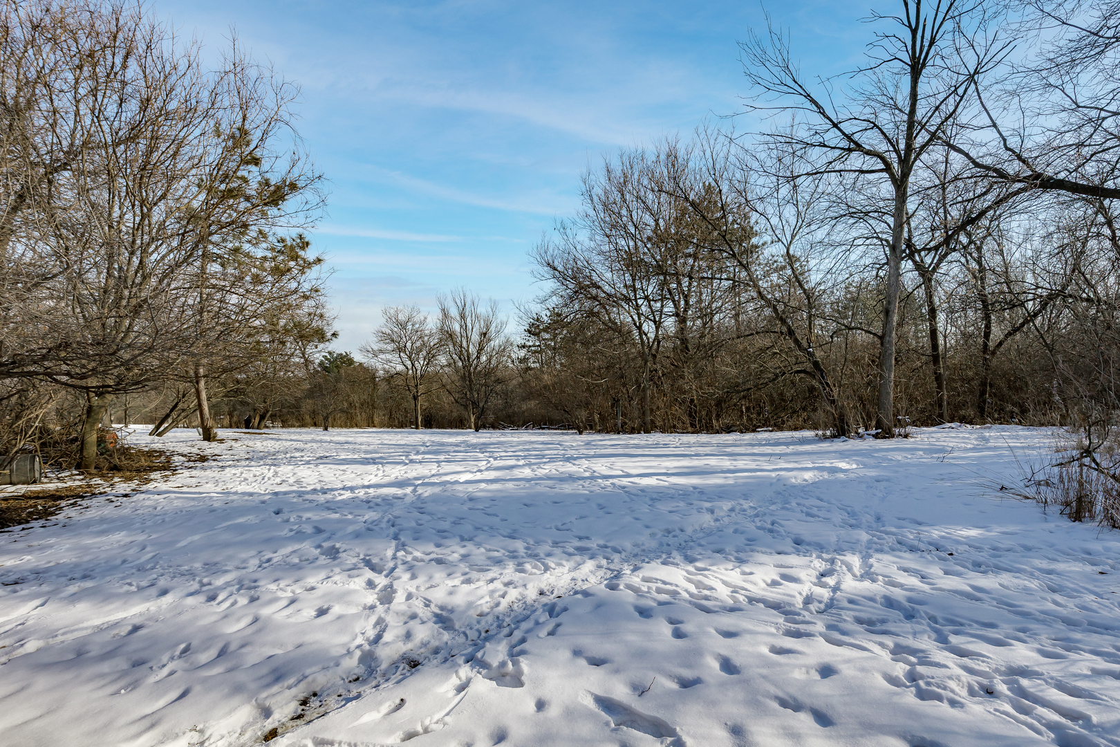 2963 87th Street Property Photo 9