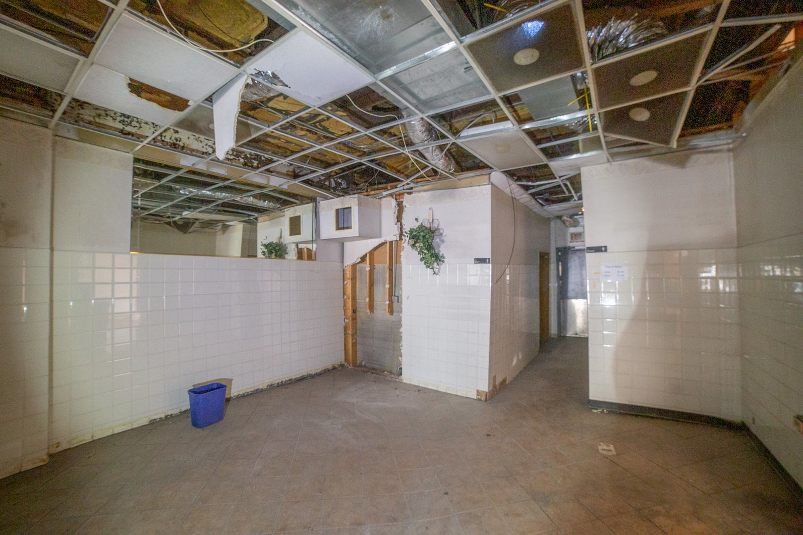 1423 W 79th Street Property Photo 9
