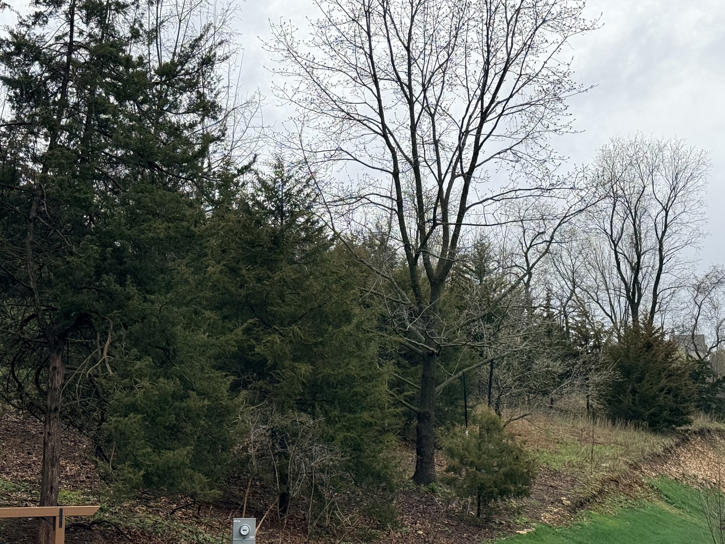10 Linden Court Property Photo 6